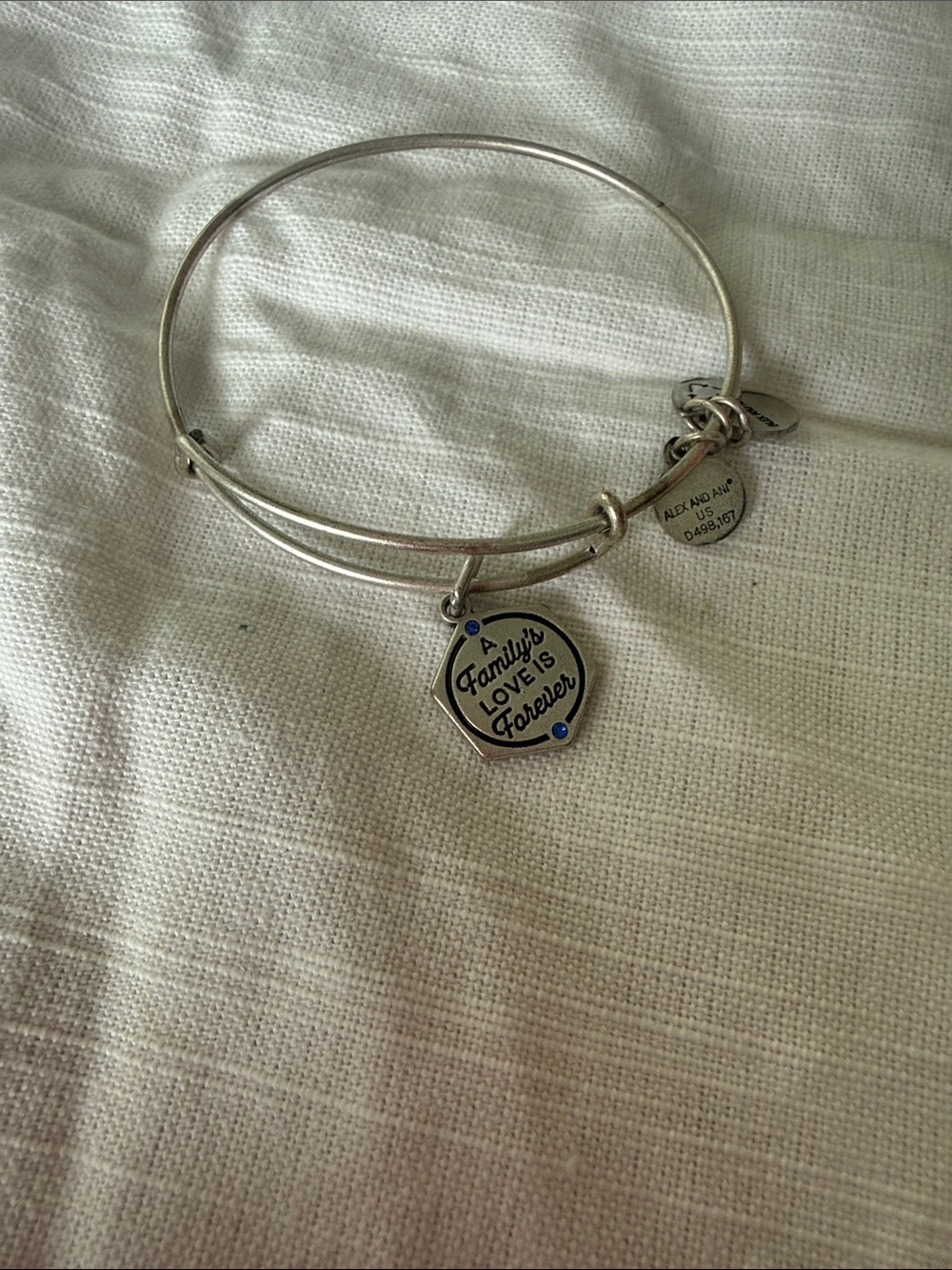 Alex and Ani Silver 'Family's Love Is Forever' Charm Bangle Bracelet